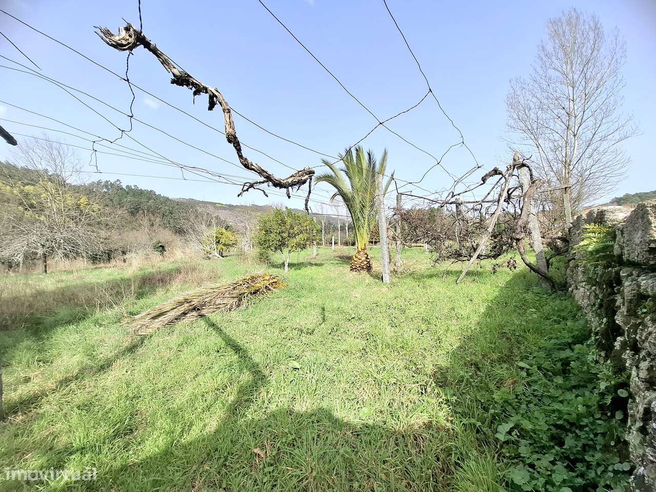 CONJUNTO DE 3 MORADIAS em Rossas, Vieira do Minho, Braga-15