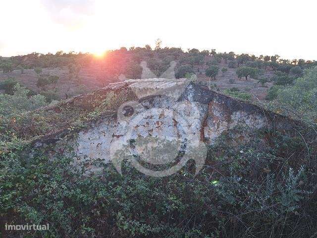 Terreno com Ruína para reconstruir - Grande imagem: 4/11