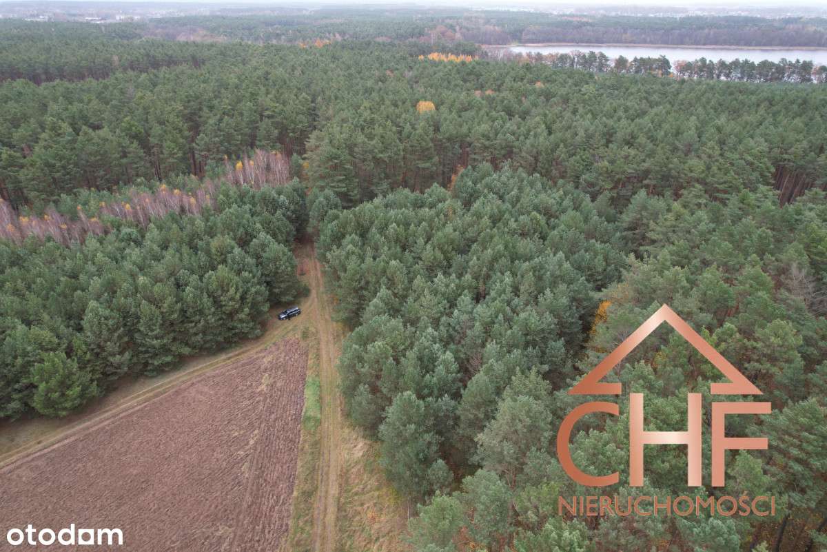 Zamieszkaj blisko natury! - Pełny obrazek: 5/12