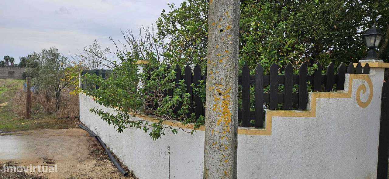 Moradia Térrea / Quintinha em Foros de Salvaterra-53