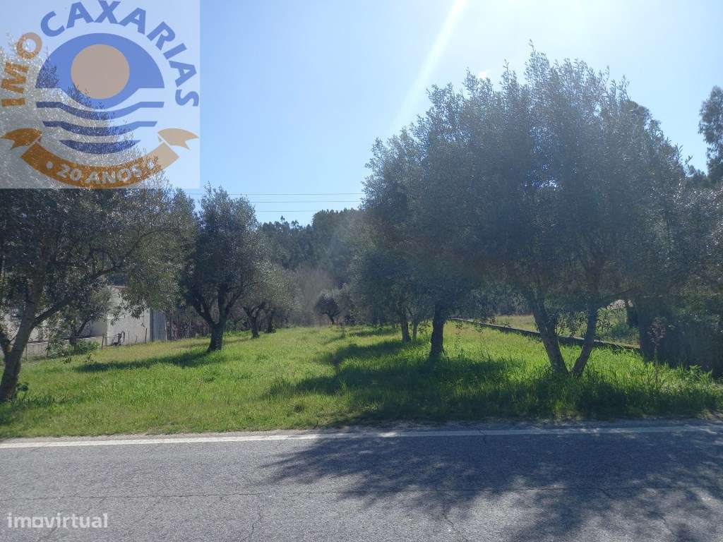 Terreno - Grande imagem: 2/4