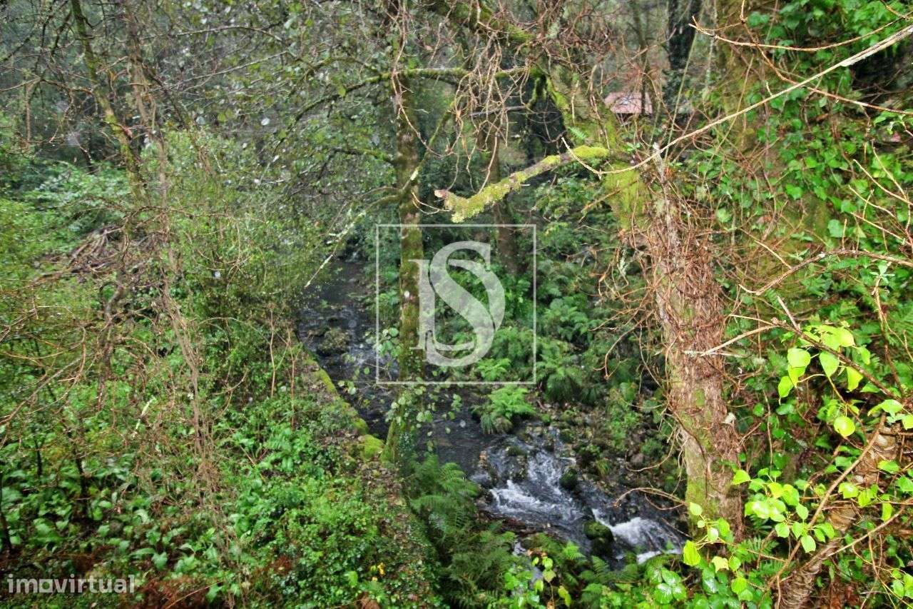 Quintinha - Formariz - Paredes de Coura - Grande imagem: 4/15