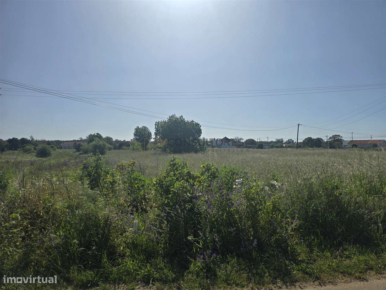 Terreno Para Construção  Venda em Sosa,Vagos-6