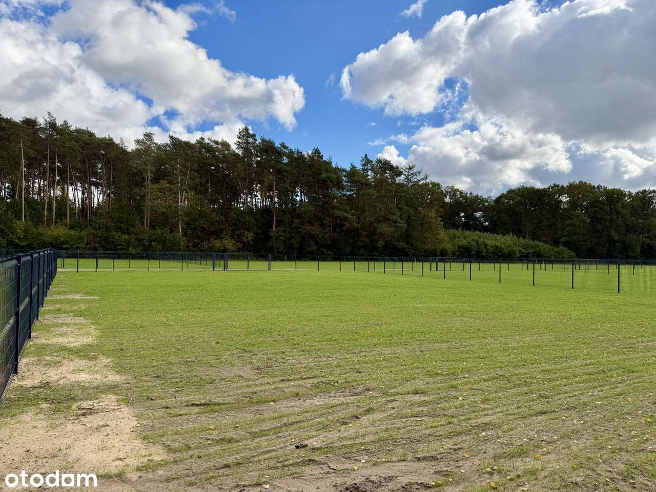 Działki przy jeziorze Lucieńskim i lesie państwowym-15