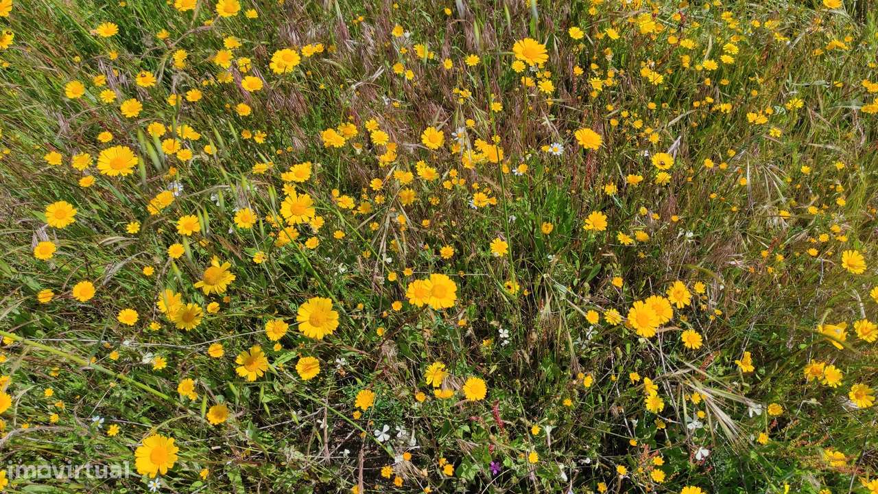 Quinta com Vista para a Serra da Estrela – Um Refúgio Natural-17