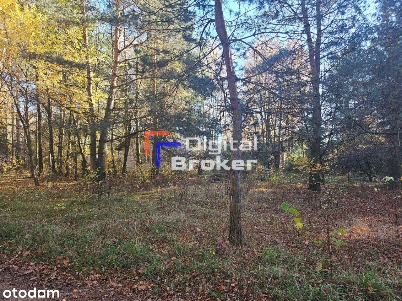 Chorzeszów*Działka*Letniskowa*Łask - Pełny obrazek: 5/11