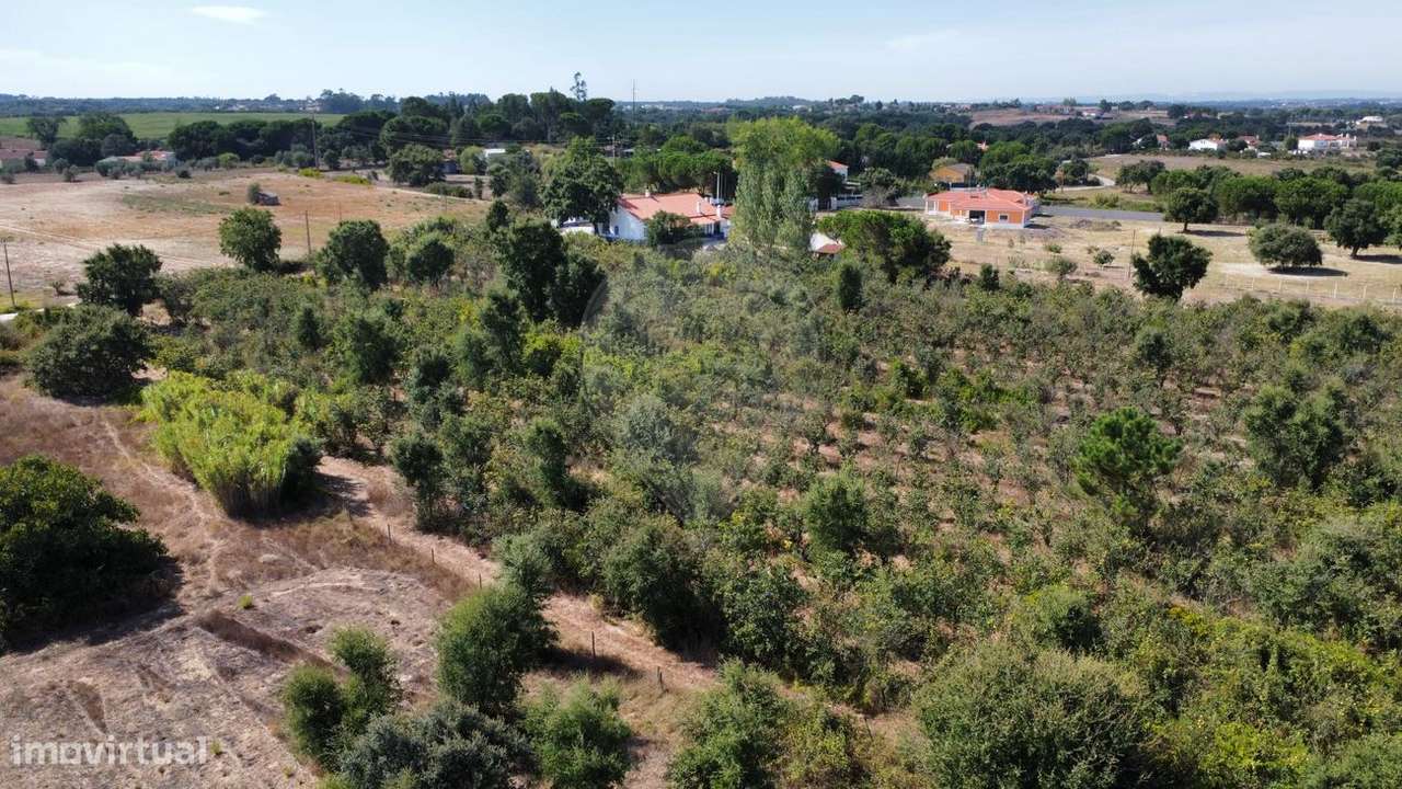 Terreno  para venda - Grande imagem: 3/5