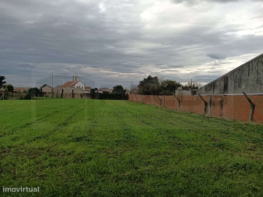 Terreno com 32m de frente Estarreja - Centro - Grande imagem: 4/13