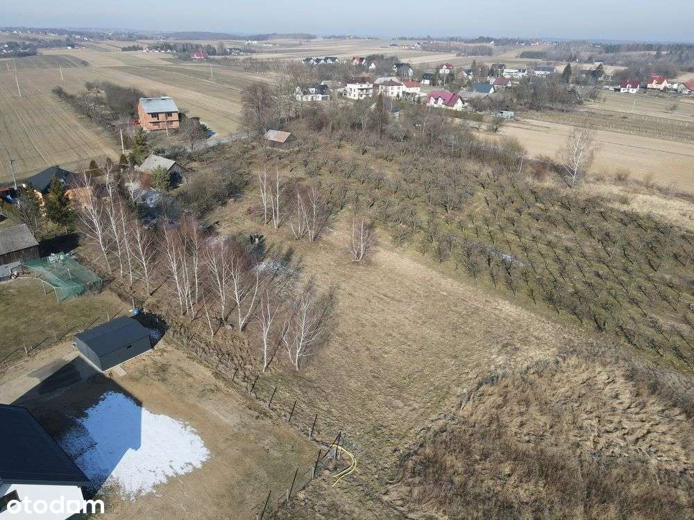 Płaska widokowa działka 10 ar - Krasieniec Zakupny - Pełny obrazek: 3/9