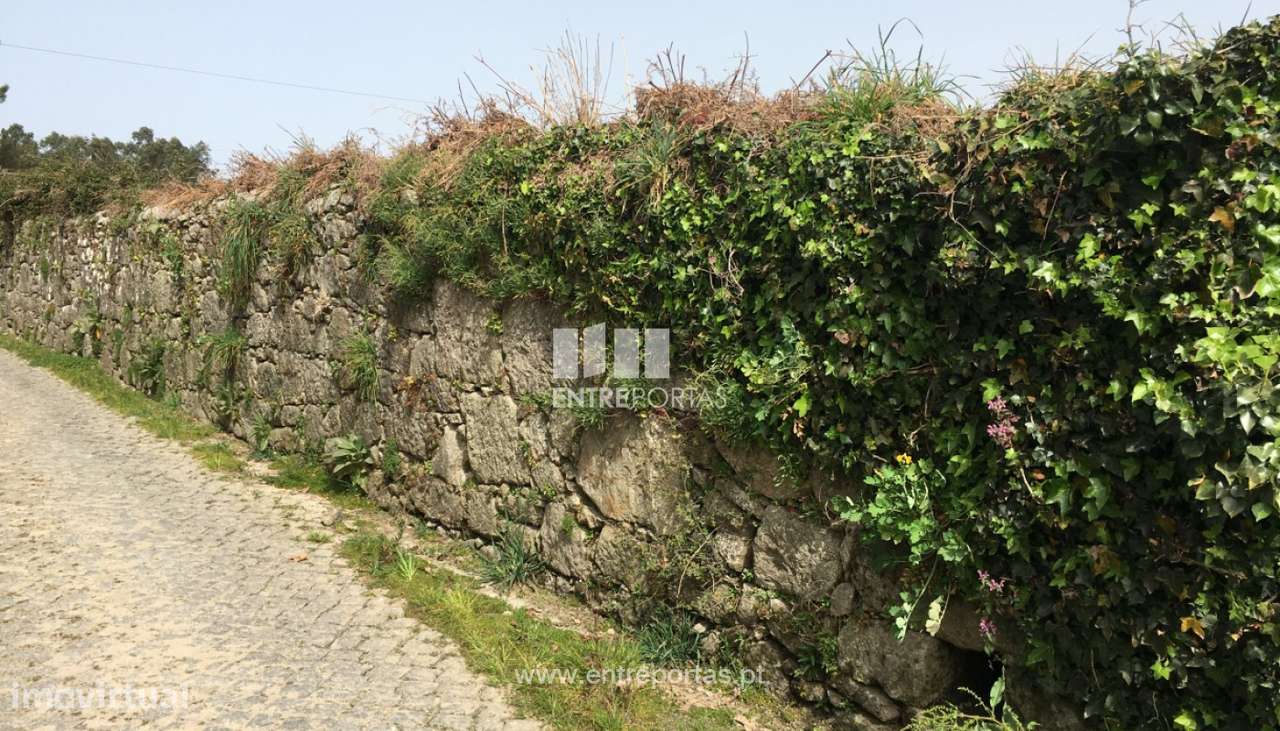 Venda de terreno para construção com 3168m², Forjães, Esposende - Grande imagem: 5/30