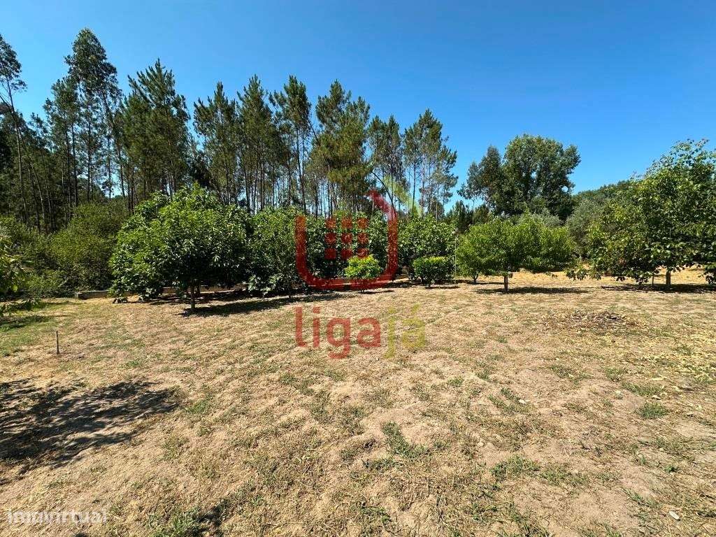 Moradia T3 com terreno - Gondemaria!-30