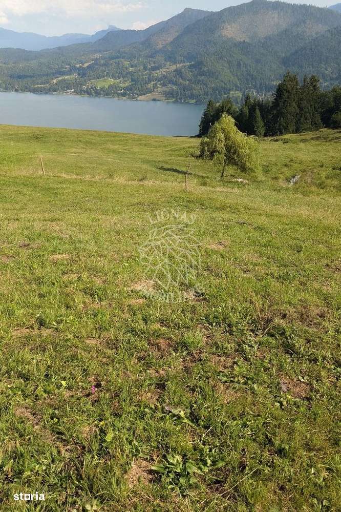 Oportunitate!Teren intravilan 61.38400mp-Parcelabil-utilitati-Colibita - Imagine principală: 5/6