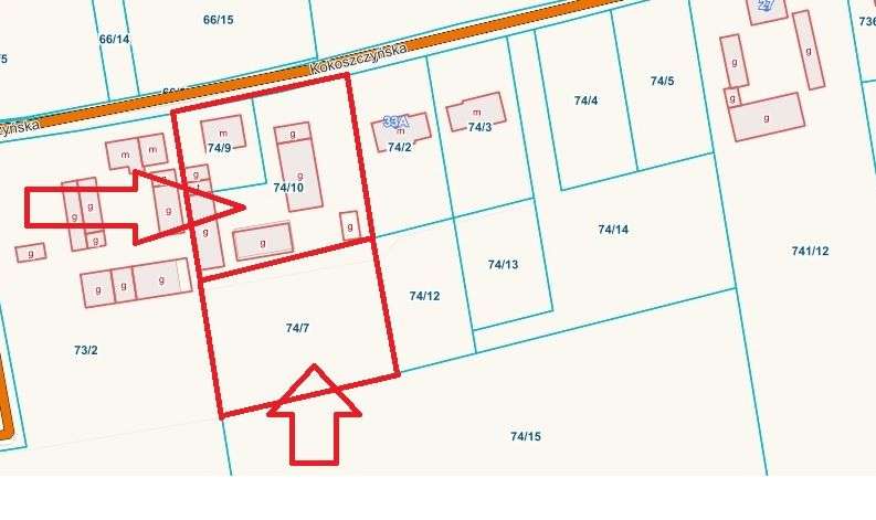 Dom na działce 3710m2 Mrowino 15 minut od Poznania-19