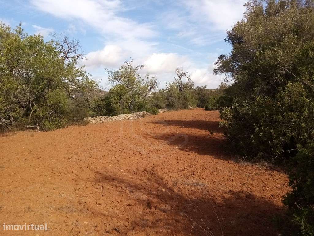 Lote de terreno rústico com 4500m2, Loulé, Algarve - Grande imagem: 4/13