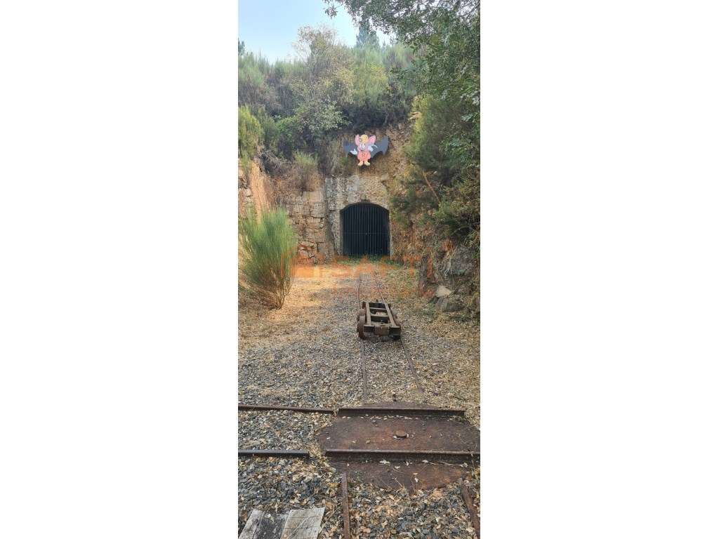 Sonho ÚNICO em Portugal - QUINTA das MINAS da RECHEIRA - - Grande imagem: 5/60