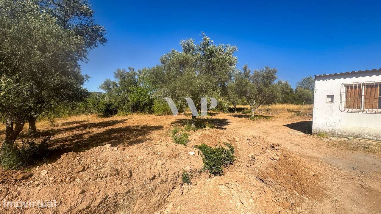 Lote de Terreno Rústico, Querença - Grande imagem: 3/6