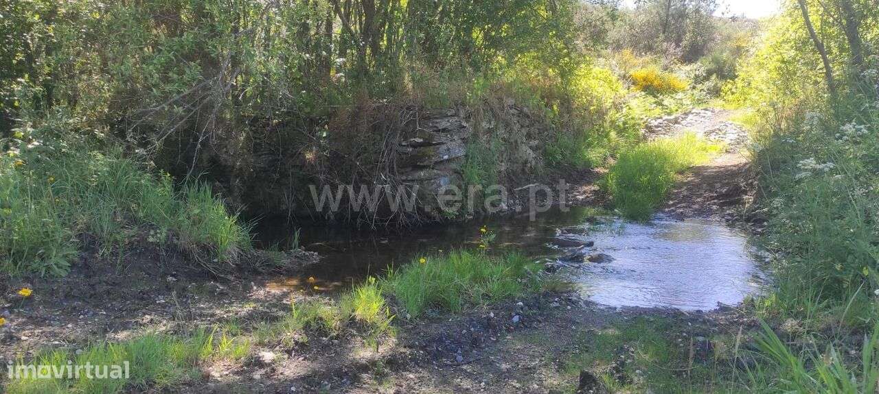 Quinta / Castelo Branco, São Vicente da Beira - Grande imagem: 4/11