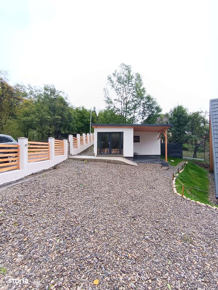 Două case de vacanță, Campina,O investiție inspirată-13