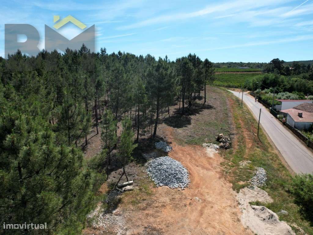 O Seu Próximo Grande Projeto Começa Aqui: 7.6 Hectares na Fatela co...-6