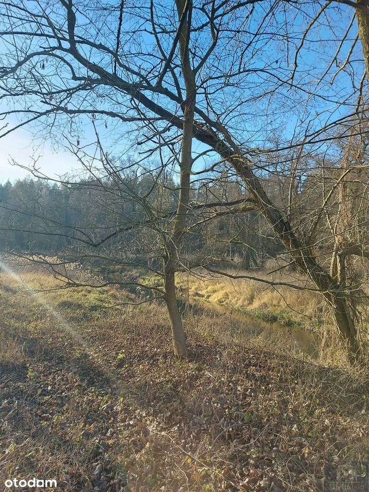 Dom, 86 m², Cieślin-11