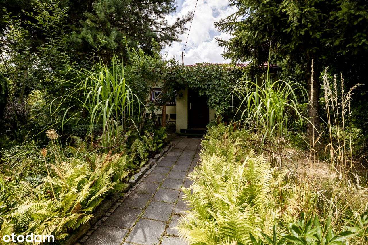 Komfortowy dom 4 pokoje w miejskiej okolicy - Pełny obrazek: 4/20