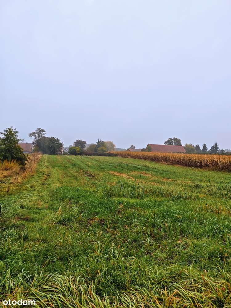 Działka, 1 000 m², Zawonia-3