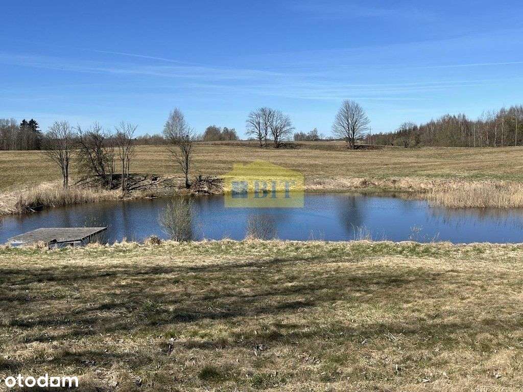 Działka 8,3 ha, ze stawem, Nowy Toporzyk - Pełny obrazek: 5/13