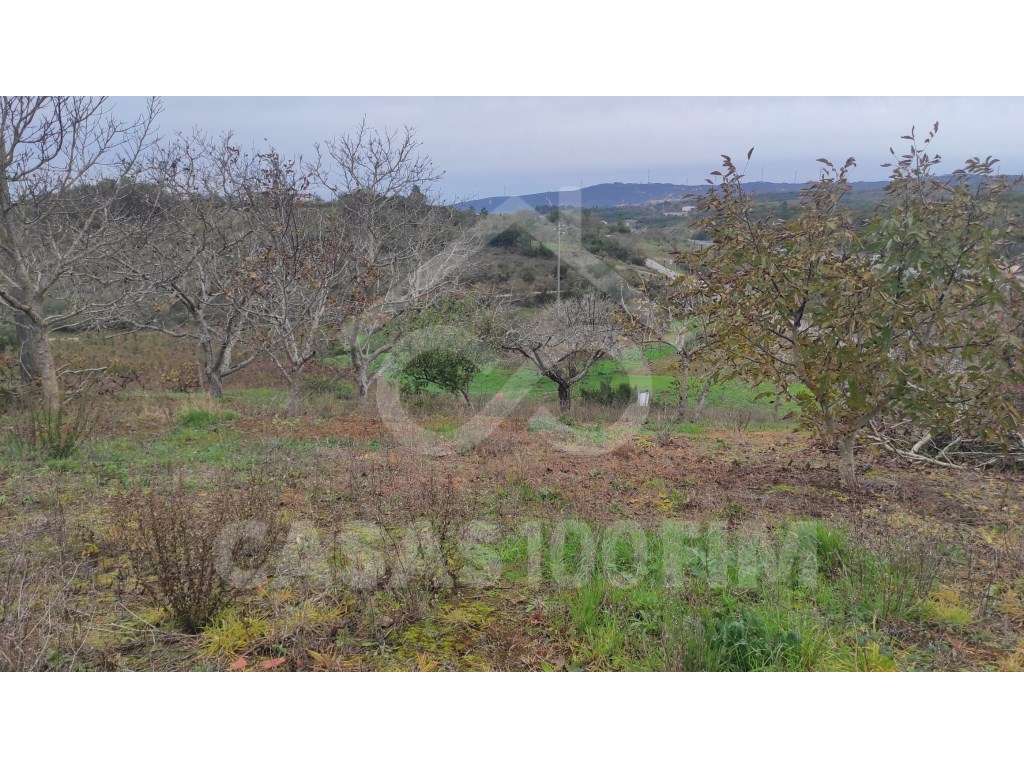 TERRENO RÚSTICO COM VIABILIDADE DE CONSTRUÇÃO - Grande imagem: 3/5