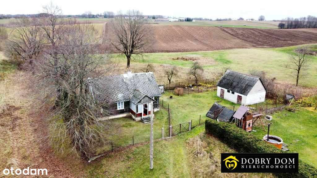 Siedlisko nieopodal Sejn! Ogrodniki - Pełny obrazek: 4/17