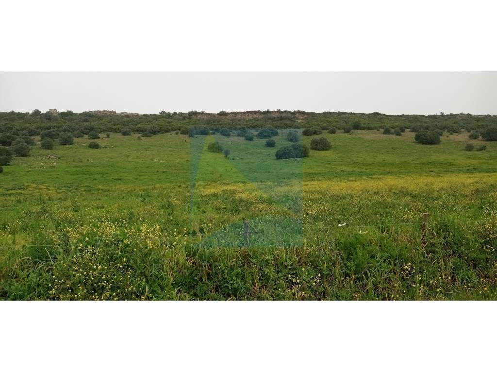 Herdade em Plena Serra da Arrábida 340.000 m2-13