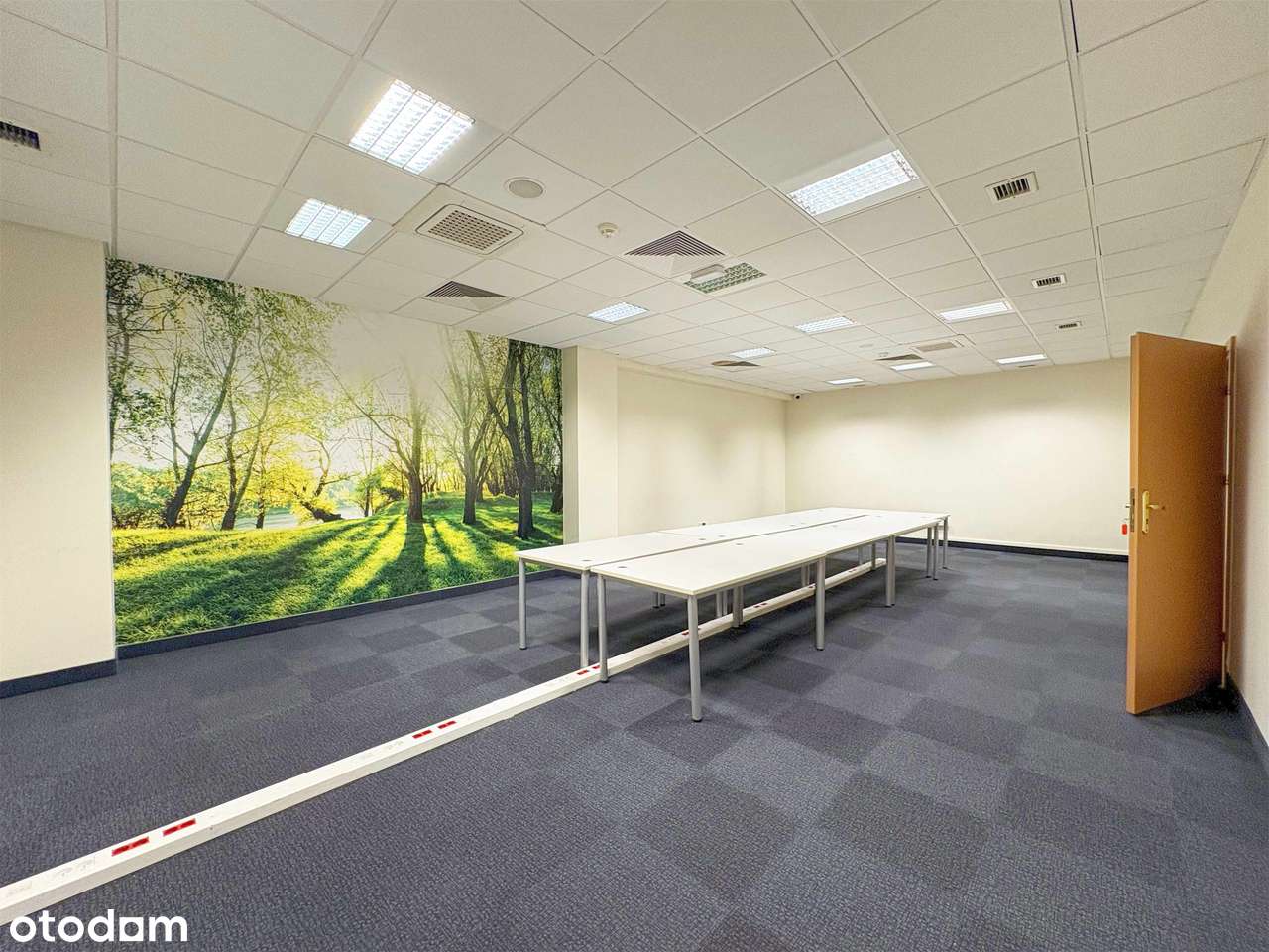 Bez prowizji! Biuro 277 m² przy autostradzie A4 | Katowice-9