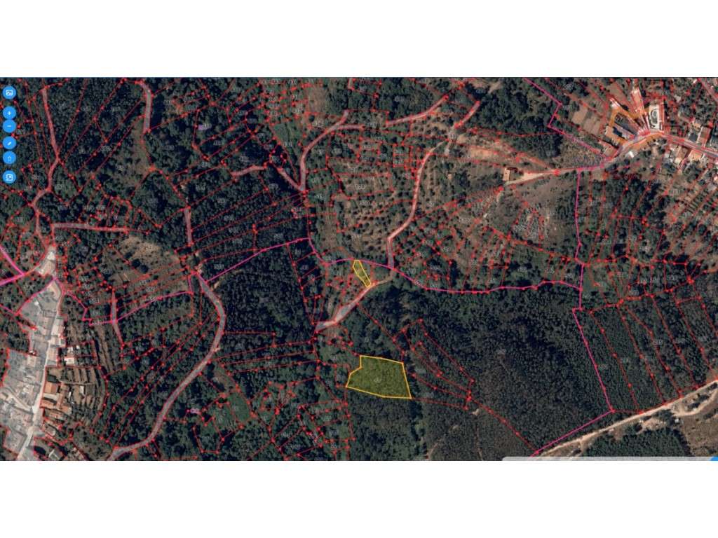 Terrenos Rústicos Aldeia do Mato e Souto - Abrantes - Grande imagem: 5/9