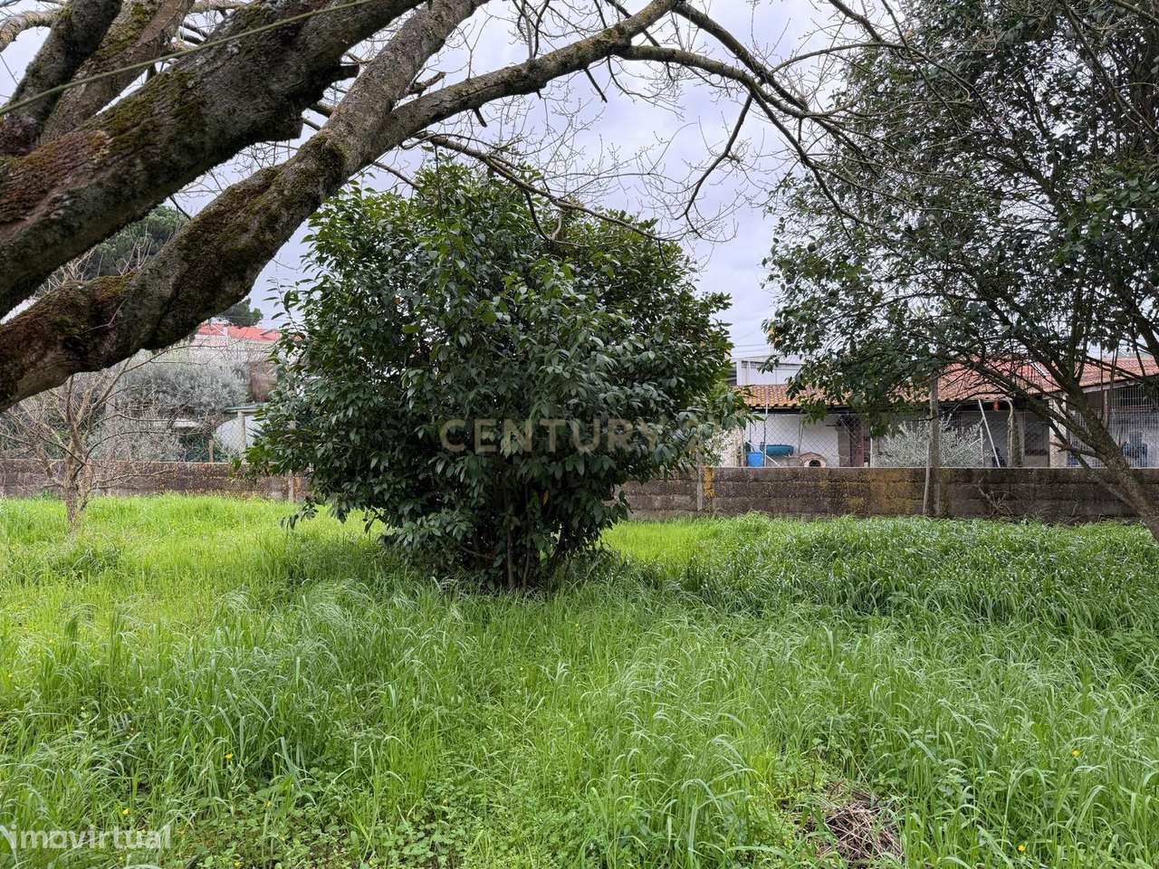 Encantadora Casa de Campo em Vale de Santarém-17