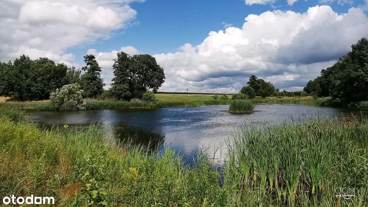 Działka budowlana w wyjątkowym otoczeniu 10 minut od Gliwic |1318/339-5