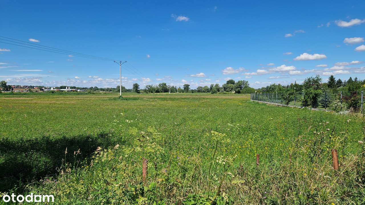 Działka z warunkami zabudowy w otoczeniu zieleni/ 0 prowizji - Pełny obrazek: 4/4