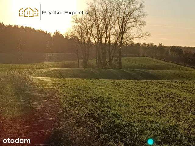 Bez pozwolenia na budowę – postaw domki i zarabiaj - Pełny obrazek: 2/6