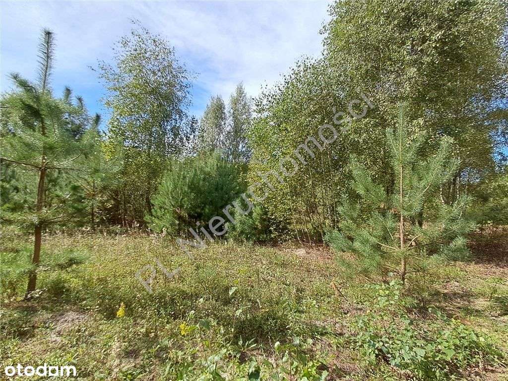 A2 - 2 minuty -Warszawa 30 minut- wodociąg - Pełny obrazek: 5/7