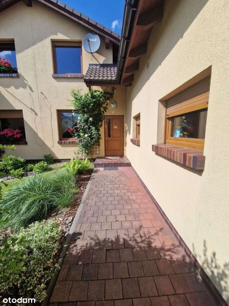 Dostępne natychmiast-16