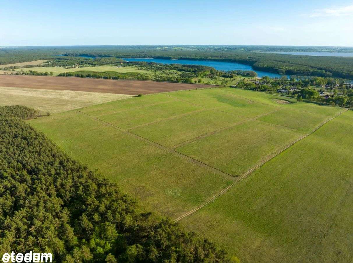 Działka nad Jeziorem Dołgie| las | natura - BUDOWLANA - Pełny obrazek: 2/8