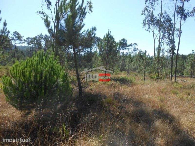 Terreno para Construção - Grande imagem: 2/12