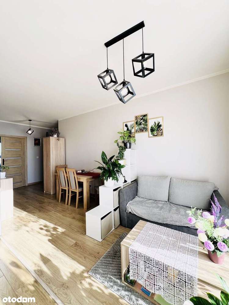 Młoszowa, 3 pokoje, balkon, winda, miejsce postojowe, do zamieszkania - Pełny obrazek: 5/19