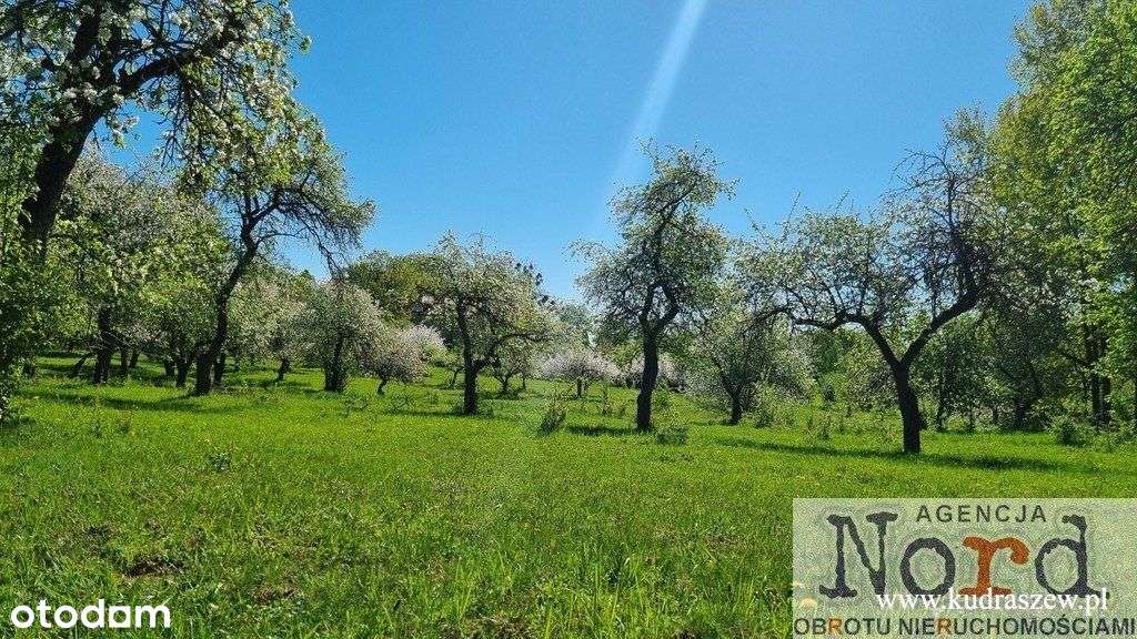 Działka Mazury Jezioro Białe - Pełny obrazek: 4/20