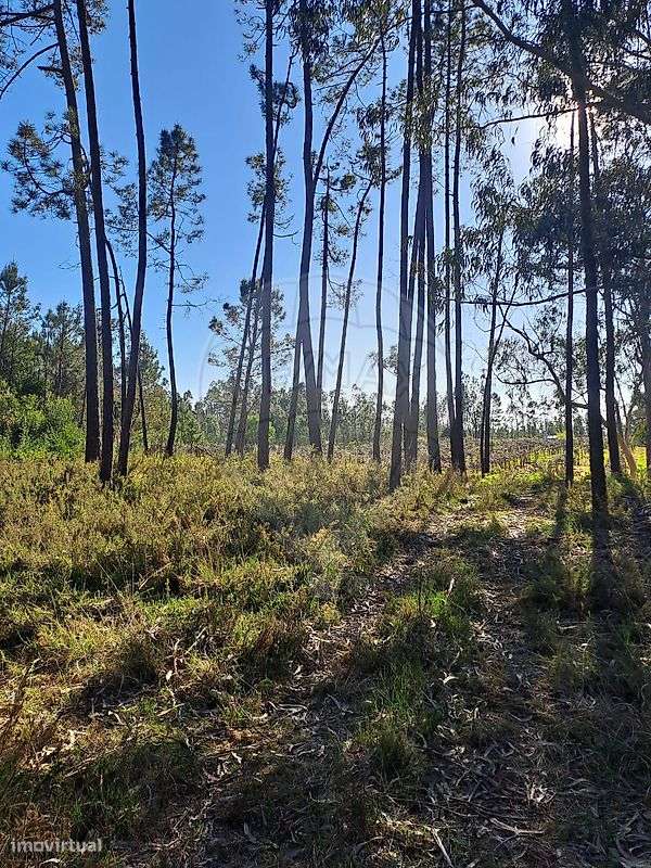 Terreno  para venda - Grande imagem: 2/3