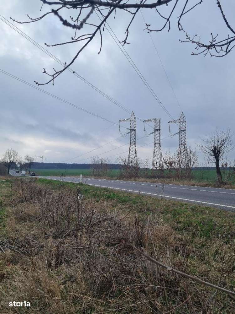 Teren suprafata 5 500 mp Albota - Imagine principală: 2/5