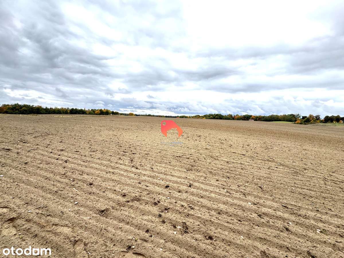 Działka nad jeziorem 5400m2 na sprzedaż. - Pełny obrazek: 4/5