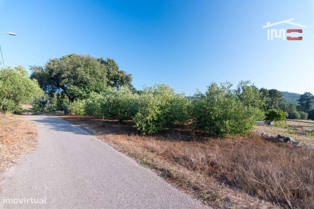 TERRENO RUSTICO COM AREA DE 2140 M2 COM OLIVAL EM BOUCEIROS PORTO D... - Grande imagem: 3/7