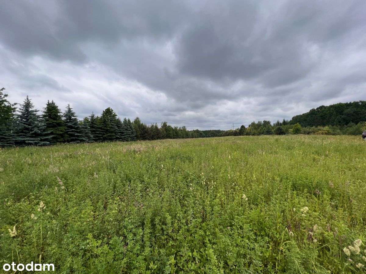 Pod logistykę, magazyny , produkcję1,4 ha - Pełny obrazek: 5/5