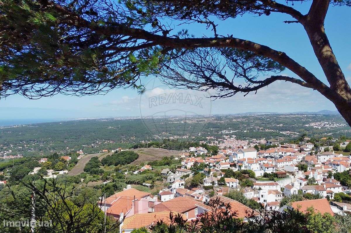 Moradia T2 para arrendamento - Grande imagem: 4/28