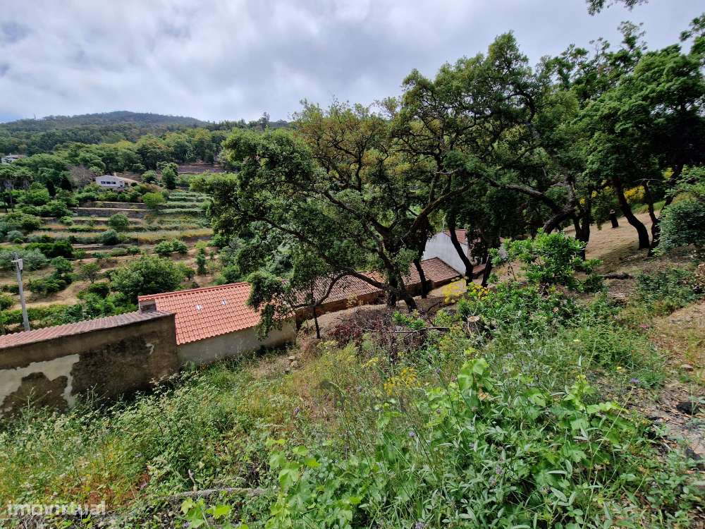 Terreno com Casa para Recuperar - Malhada Quente, Monchique-18
