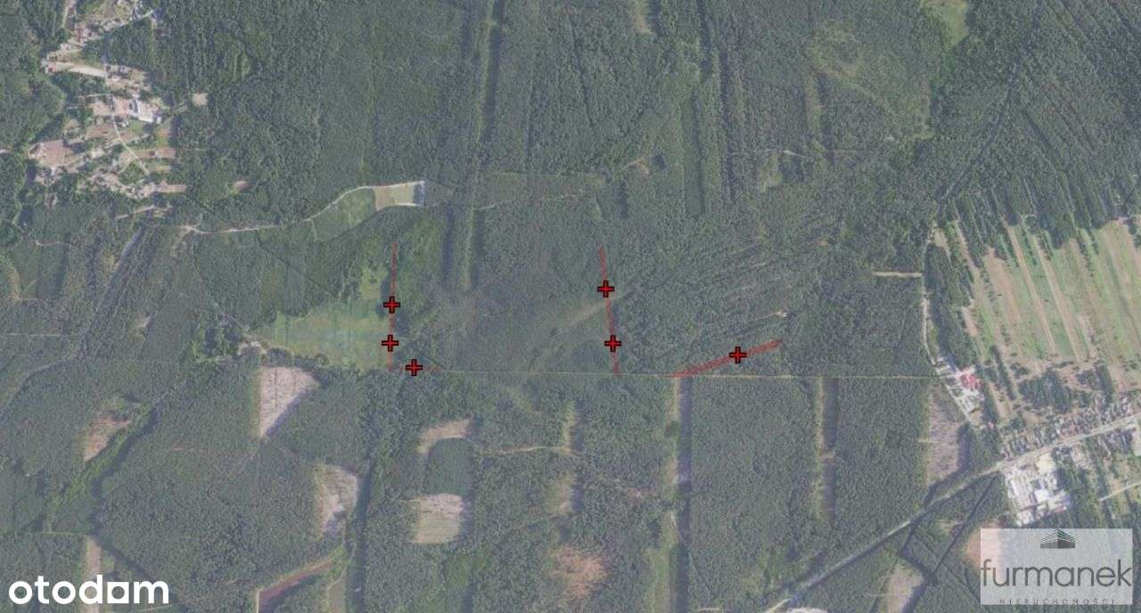 Działki o pow. 1,6 ha w gm. Biłgoraj - Pełny obrazek: 4/5